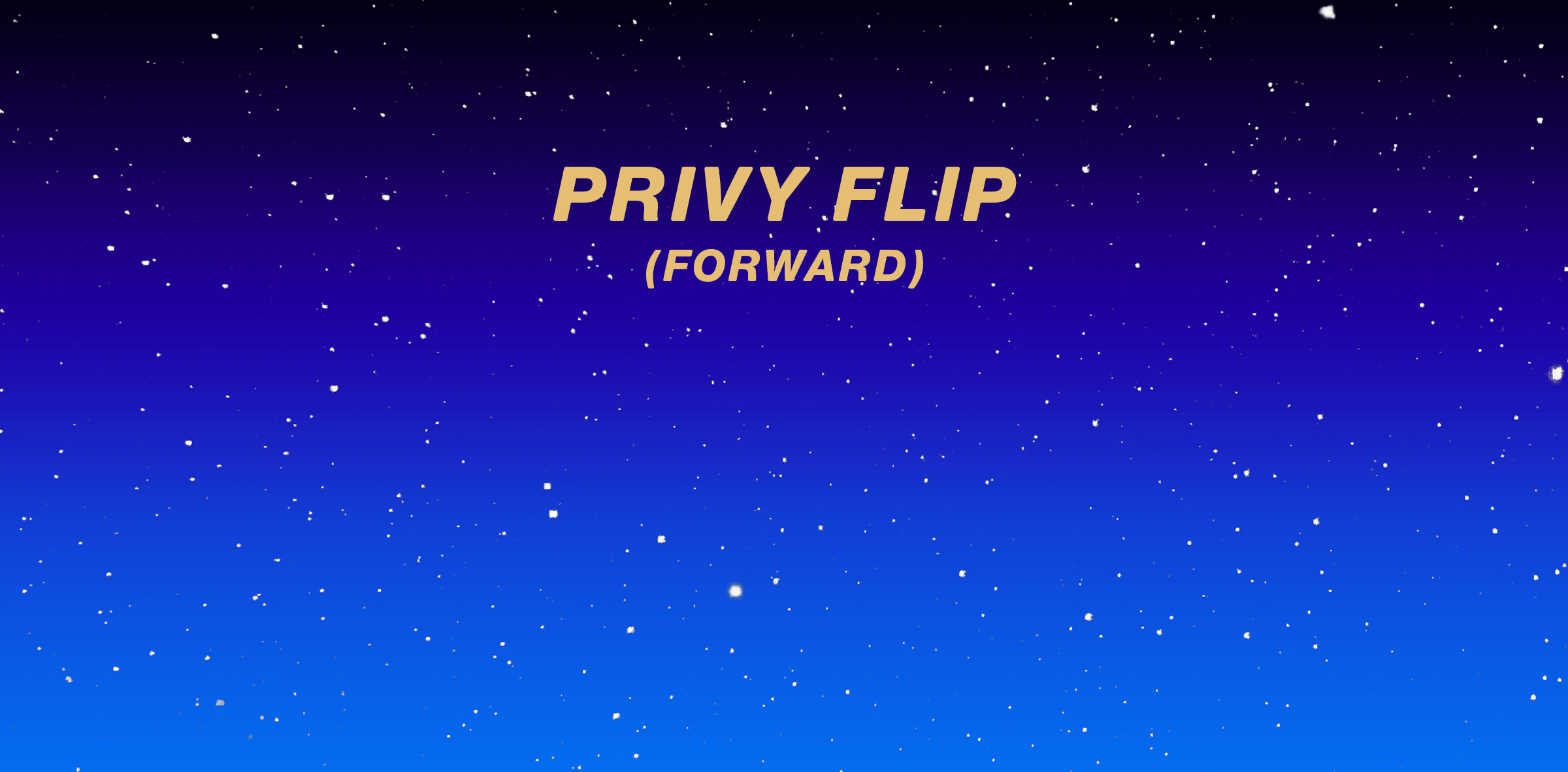 Trick 2: Privy Flip